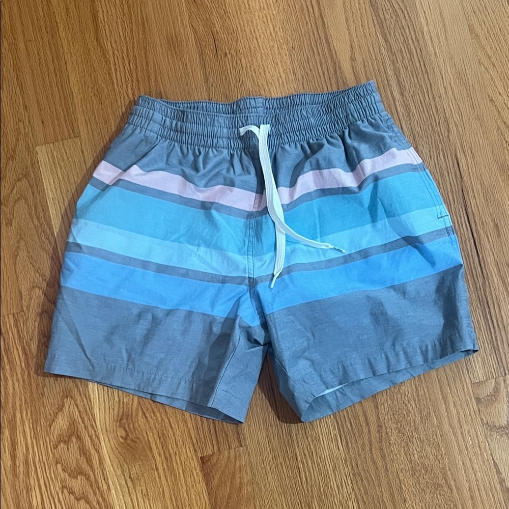 Chubbies Blue and Gray Swim Shorts